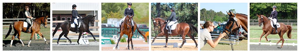 ElizaSydnorRommDressage Eliza Sydnor Romm Dressage