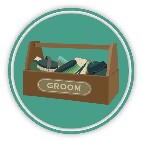 GroomingIconmedRes