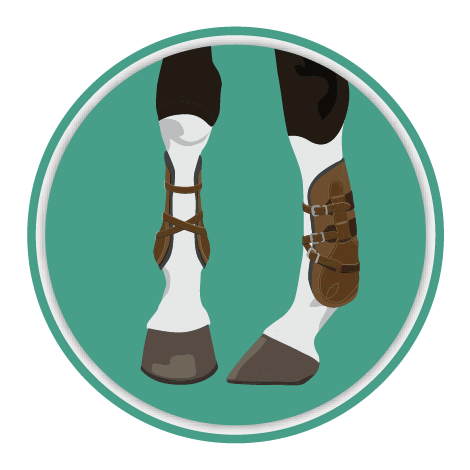 HorseBootsIconMedRes