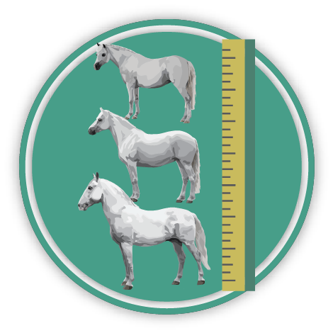MeasureIconMedRes