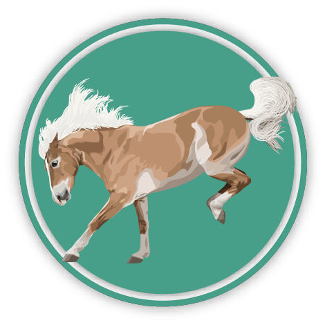 VicesIconMedRes Vices icon